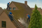 Roof moss removal in Ottawa K0A 0A4 and gutter maintenance