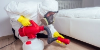 Bed Bug Treatment in Guelph N1C 0A2