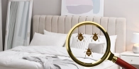 Bed Bug Treatment in Kawartha Lakes K0L 0B7