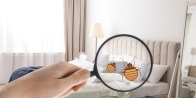 Bed Bug Treatment in New Westminster V3L 0A2