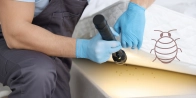 Bed Bug Treatment in Saint-Jean-sur-Richelieu J0J 1K0
