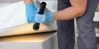 Bed Bug Treatment in Niagara Falls L0S 1K0
