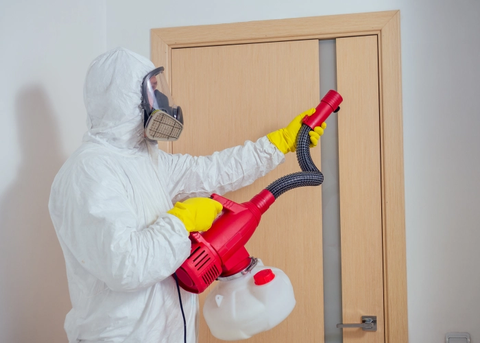 Bed Bug Treatment in Medicine Hat T1A 0A1