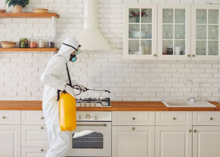 Bed Bug Treatment in Fredericton E3B 0L3