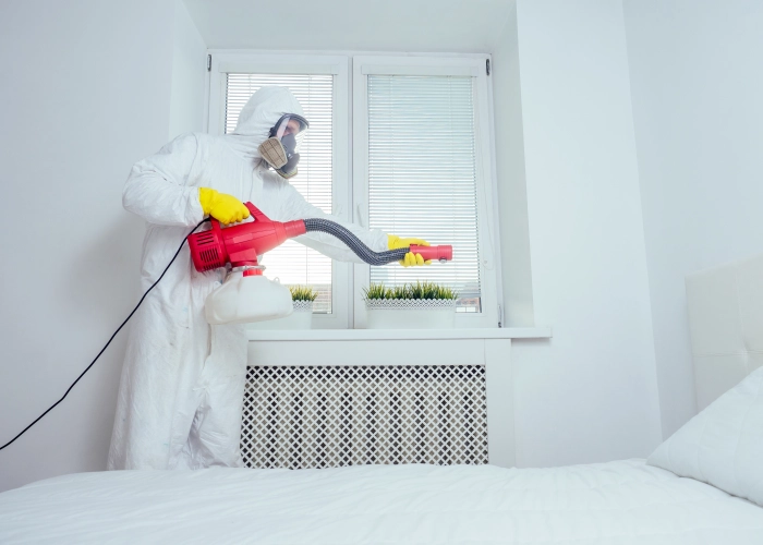 Bed Bug Treatment in Halton Hills L7C 1N6