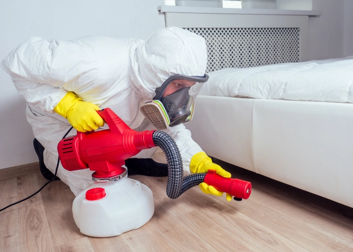 Bed Bug Treatment in Port Coquitlam V3B 0A8