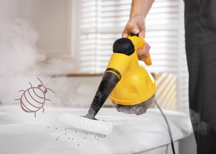 Bed Bug Treatment in Falaises de Scarborough M1B 0A2