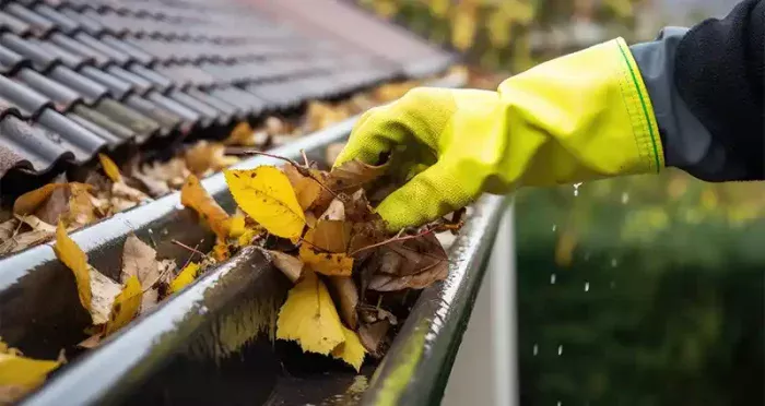 Roof moss removal in Montréal H1N 0A2 and gutter maintenance